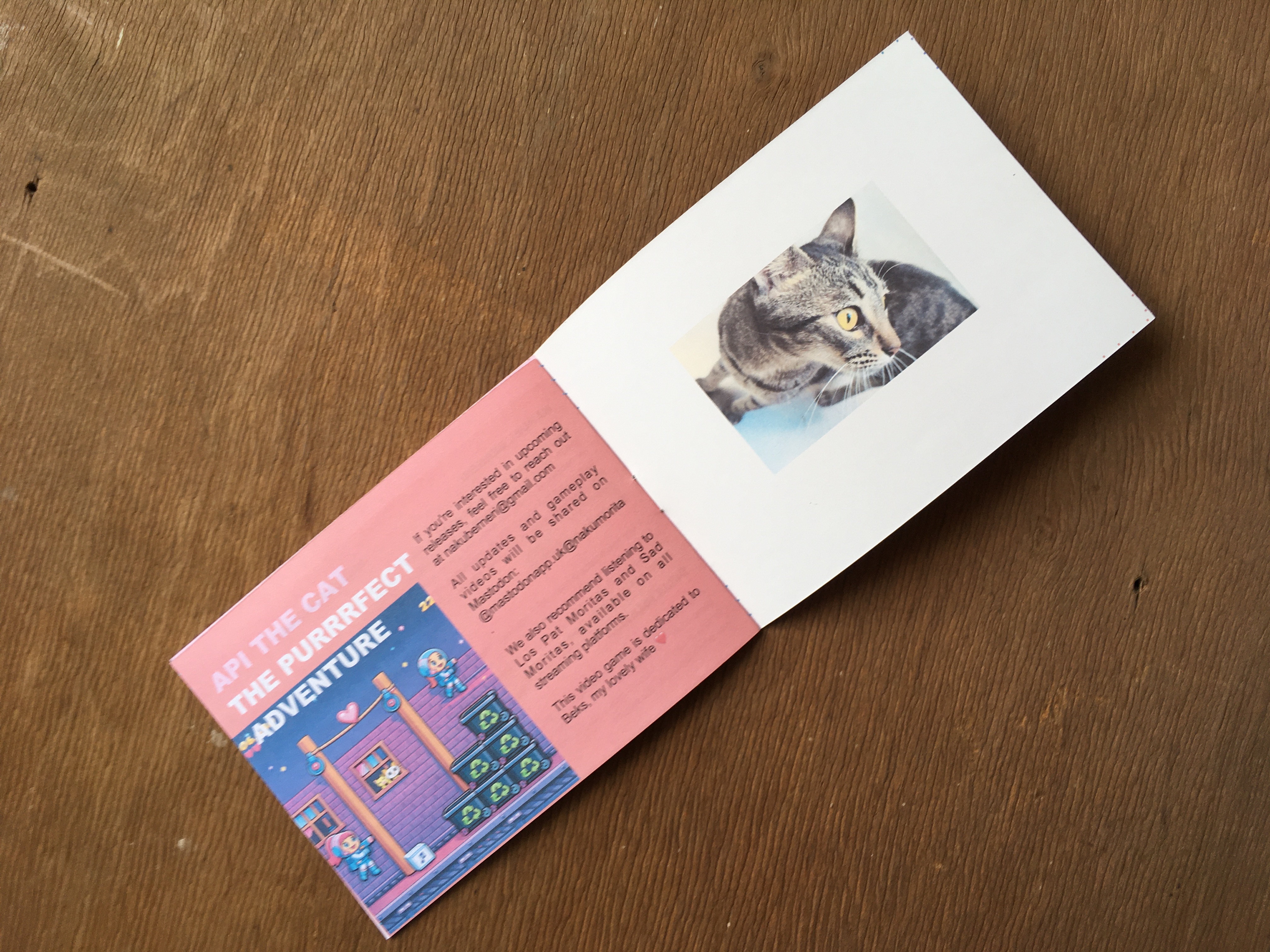 Api The Cat manual