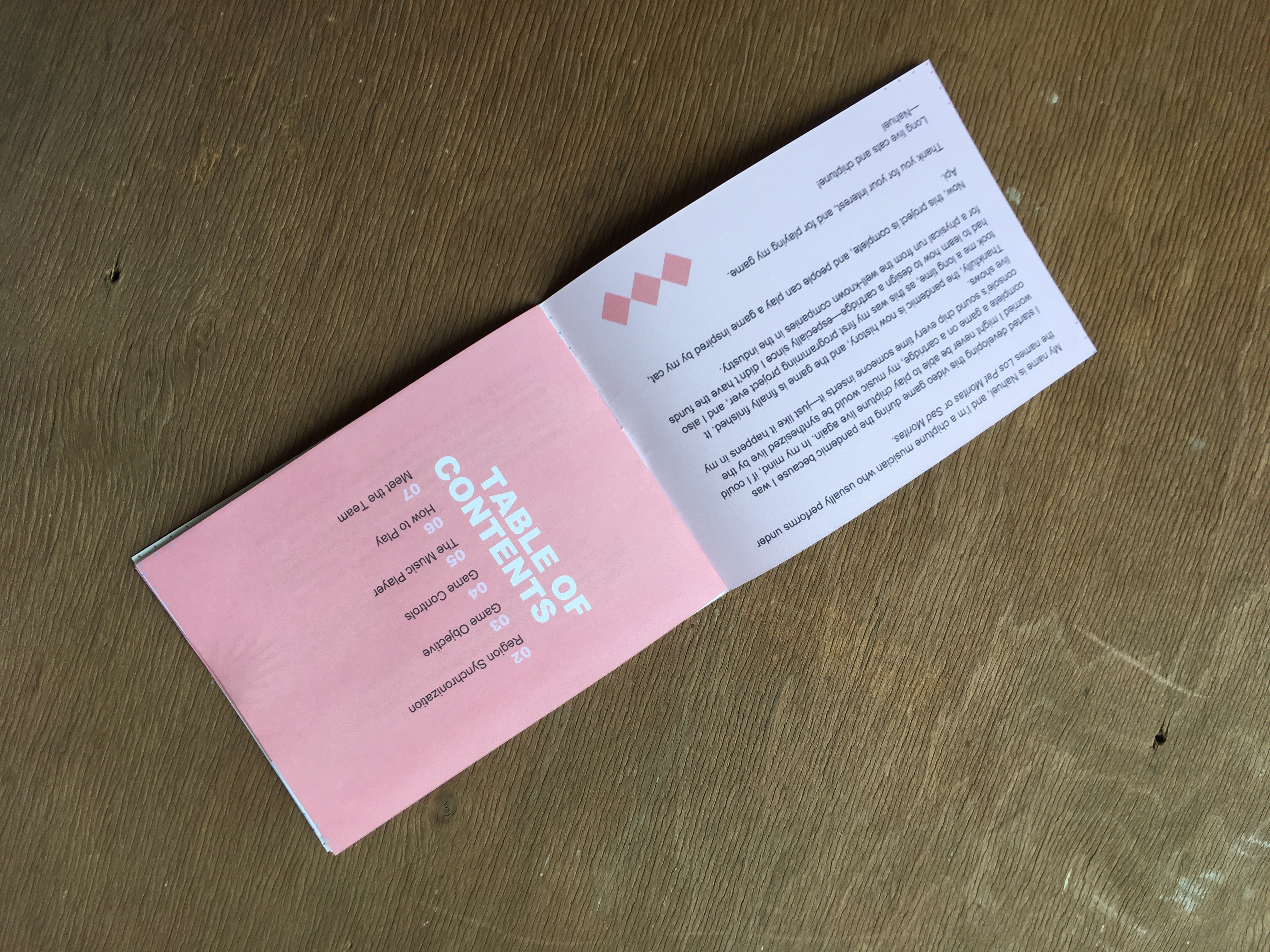 Api The Cat manual contents
